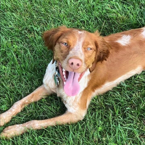 Meet your Posher, Stephanie - Picture 2 of 4